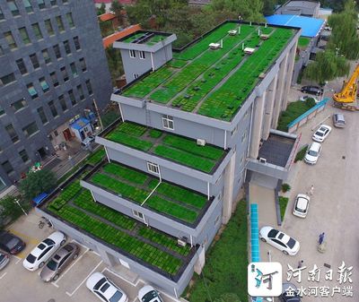 郑东新区先行先试屋顶绿化 生态公益捐款同步启动实施_其它_网